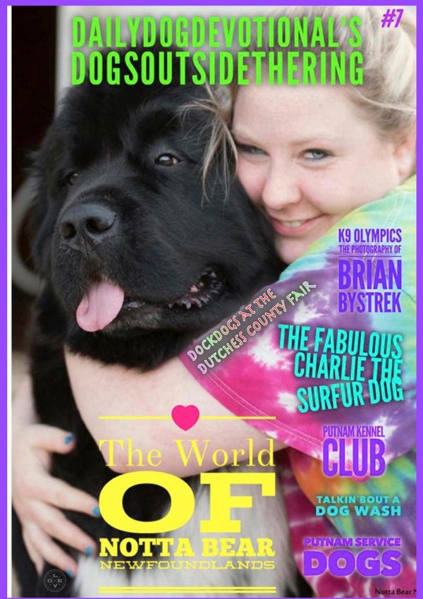 Daily dog devotional s dogs outside the ring tail end of summer issue
