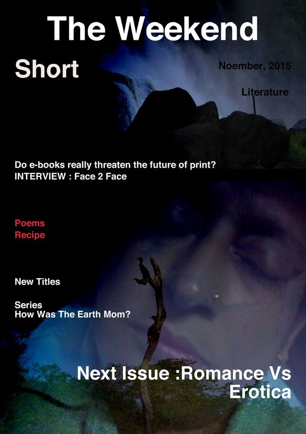 LitVoice XIII: A Monthly Literary Magazine Paperback